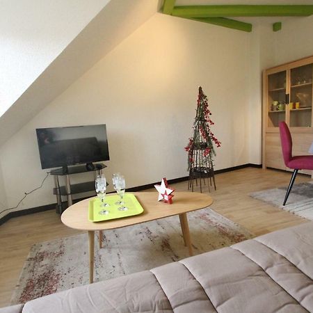 Colmar Historic Center - Cosy Appartement Turenne 2 - Bookingalsace Esterno foto