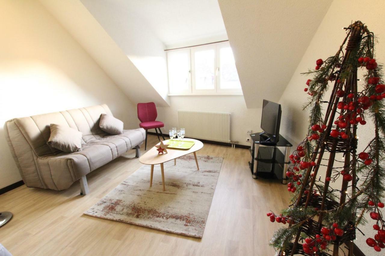 Colmar Historic Center - Cosy Appartement Turenne 2 - Bookingalsace Esterno foto