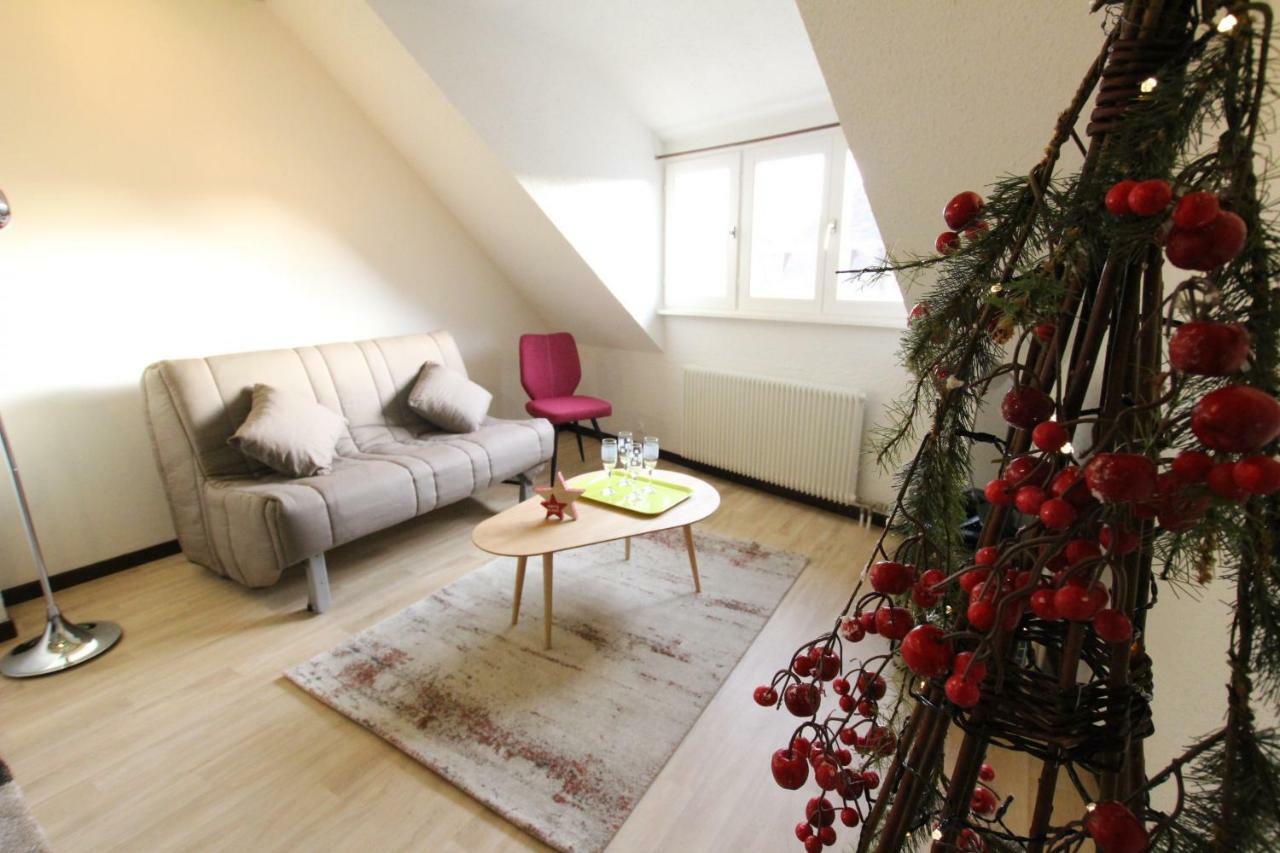Colmar Historic Center - Cosy Appartement Turenne 2 - Bookingalsace Esterno foto